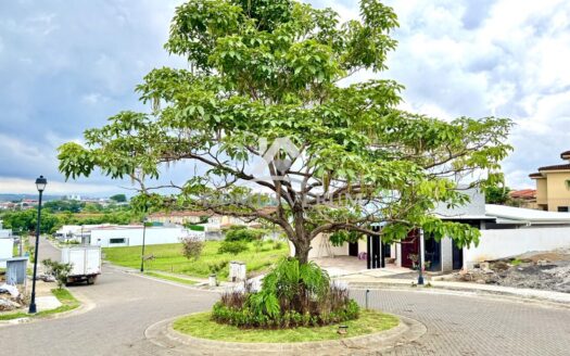 Venta de lote en condominio residencial Escazú